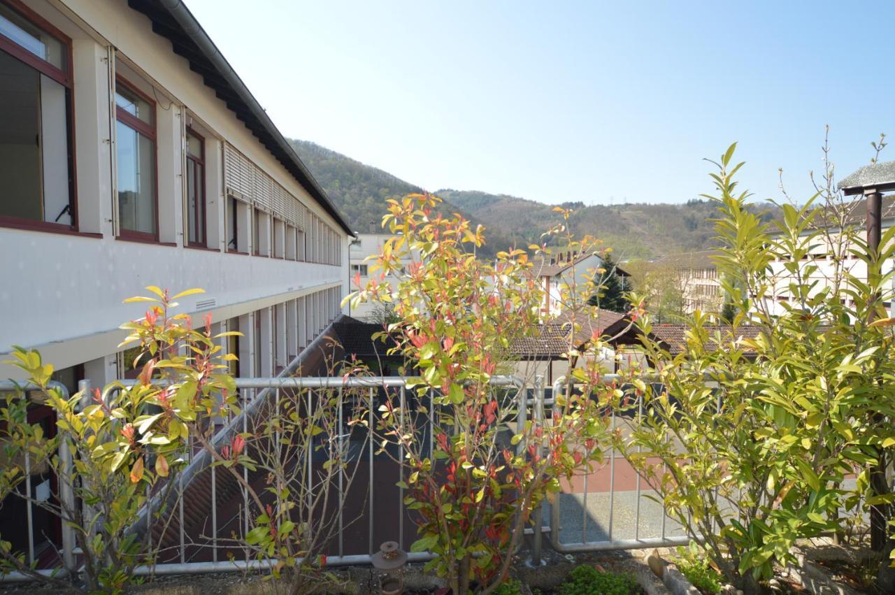 באד אמס Aktivhotel Alter Kaiser מראה חיצוני תמונה